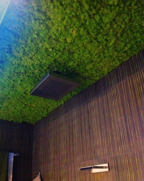 Bathroom with unique moss-covered ceiling and modern rain showerhead.
