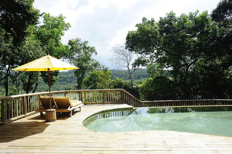 green resort pool and deck