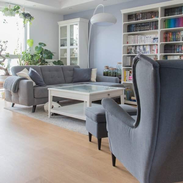 Grey and white living room with cozy seating, houseplants, and a built-in bookshelf.