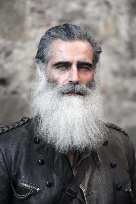 Grey Hair Mens Beard Styles