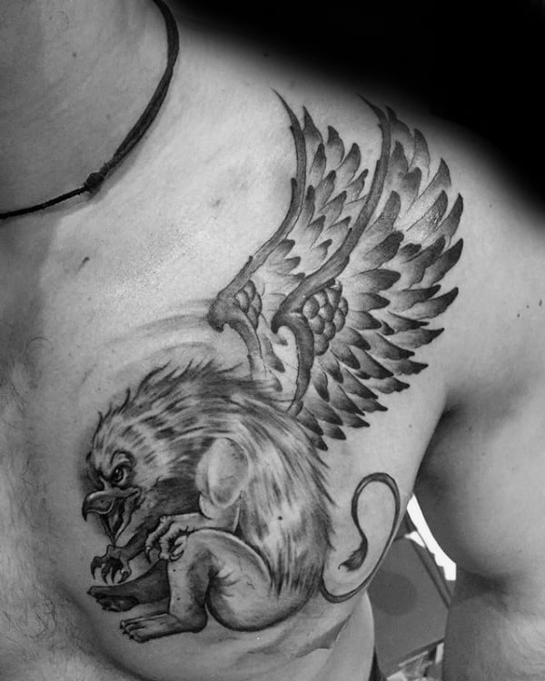 Griffin Wings Mens Shoulder And Chest Tattoo
