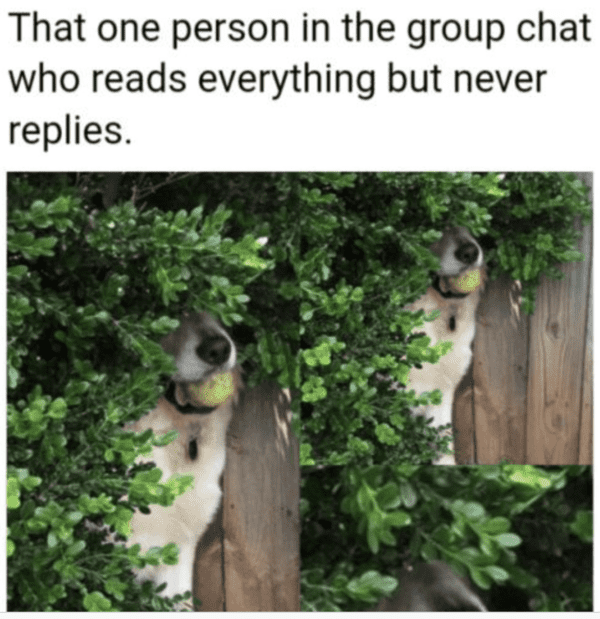 group-chat-memes-4