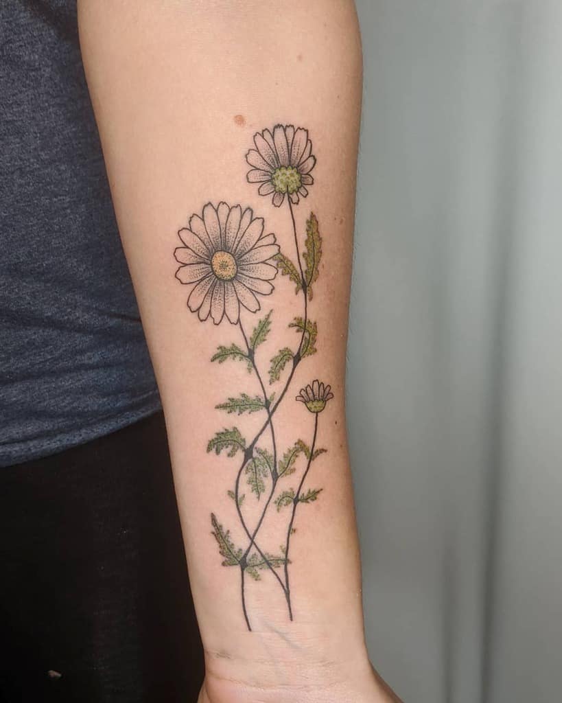 Forearm tattoo color growing daisy with leaves