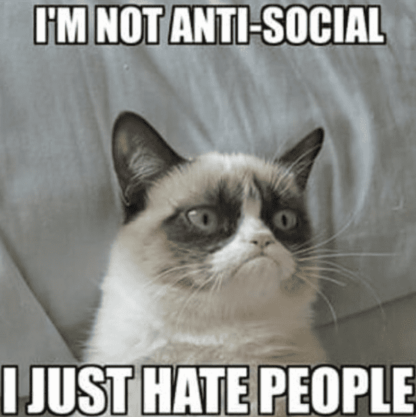 grumpy-cat-memes