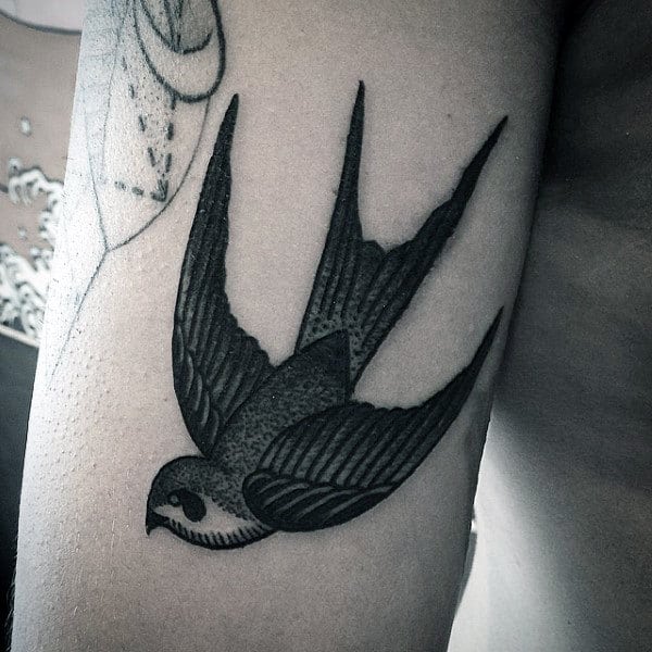 Guy With Amazing Grey Pencil Art Sparrow Tattoo Upper Arms