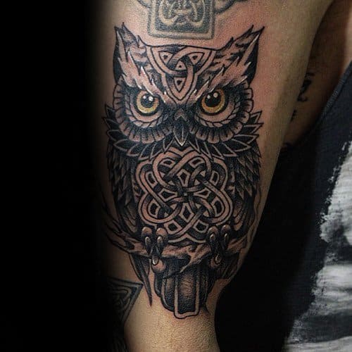 Guy With Arm Celtic Owl Tattoo Design