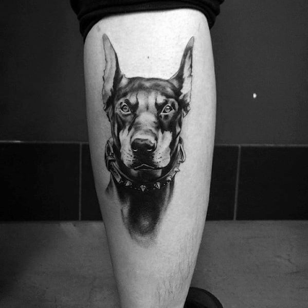 Black and grey realistic Doberman tattoo with intense eyes and a spiked collar, placed on the calf for a bold, commanding look.