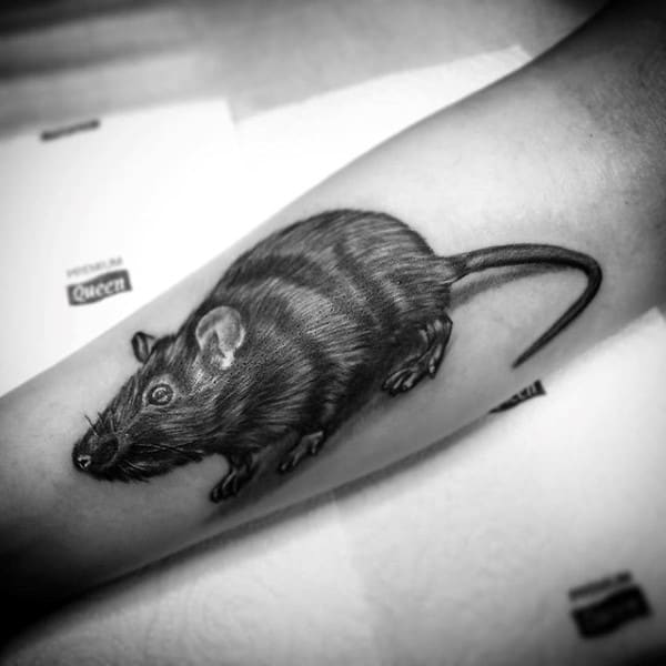 Guy With Forearm Tattoo Of Detailed Shaded Black And Grey Ink Rat Design