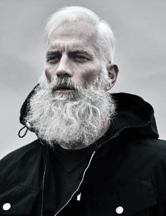 Guy With Grey Dapper Beard Design