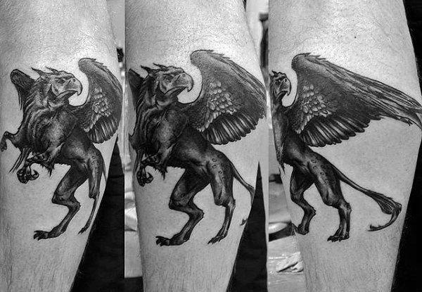 Guy With Griffin Tattoo On Leg Calves