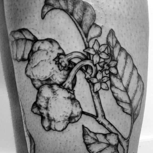 Black and grey chili pepper plant tattoo with detailed shading, featuring peppers, leaves, and flowers for a botanical and realistic design.