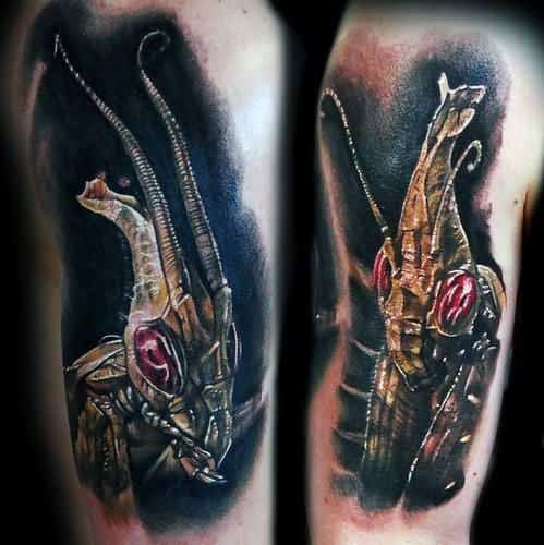 Guy With Realistic 3d Praying Mantis Tattoo Design On Arm