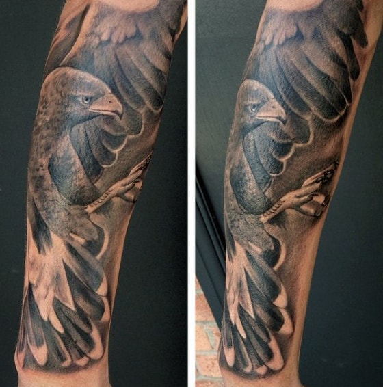 Guy With Realistic Majestic Hawk Half Sleeve Tattoo