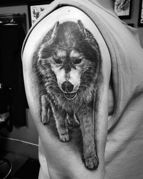 Hyper-realistic Siberian Husky tattoo on a man's upper arm, featuring detailed fur texture and a dynamic pose for a bold and lifelike design.