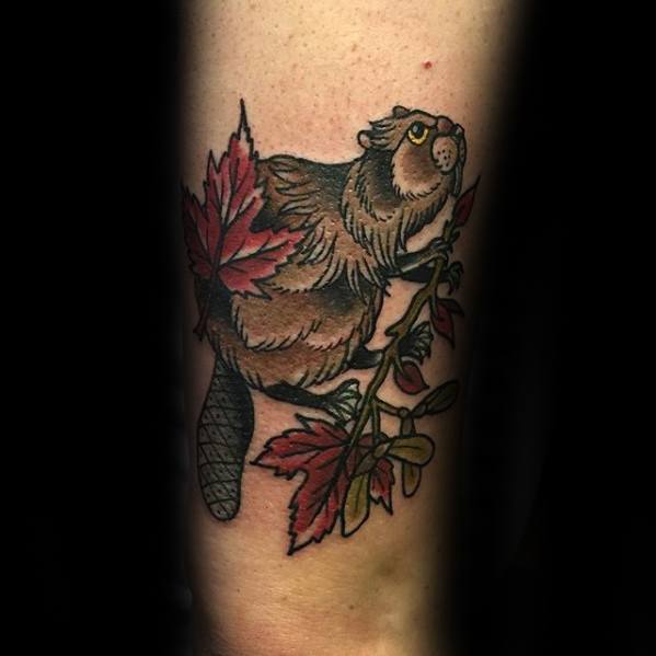 Traditional-style beaver tattoo holding a leafy branch, featuring bold lines, muted tones, and red maple leaves for a classic look.