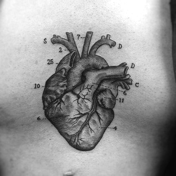 Guys Biology Heart Diagram Science Tattoo On Chest