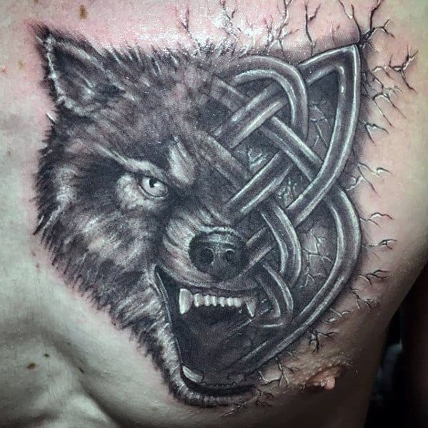 Realistic Celtic wolf tattoo on chest with a snarling wolf face merging into bold knotwork, surrounded by cracked skin detail.