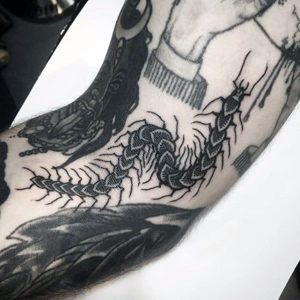 Guys Centipede Tattoo Design Ideas On Arm