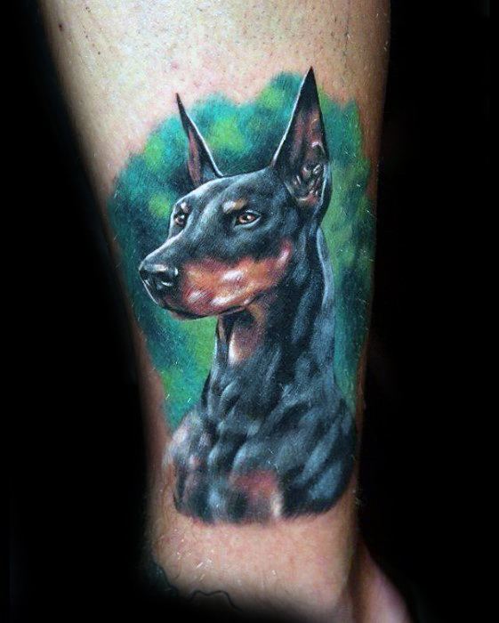 Vibrant color Doberman tattoo with lifelike details, set against a soft green background for a striking and natural look.