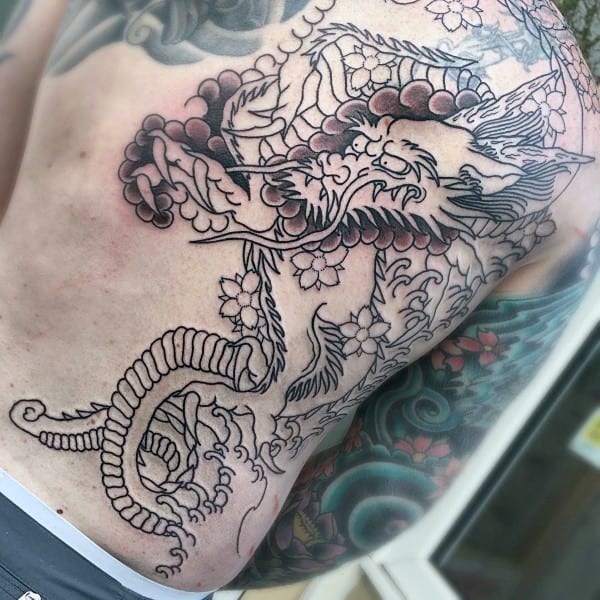 Japanese-style back tattoo featuring an outlined dragon intertwined with cherry blossoms, partially shaded with intricate detailing