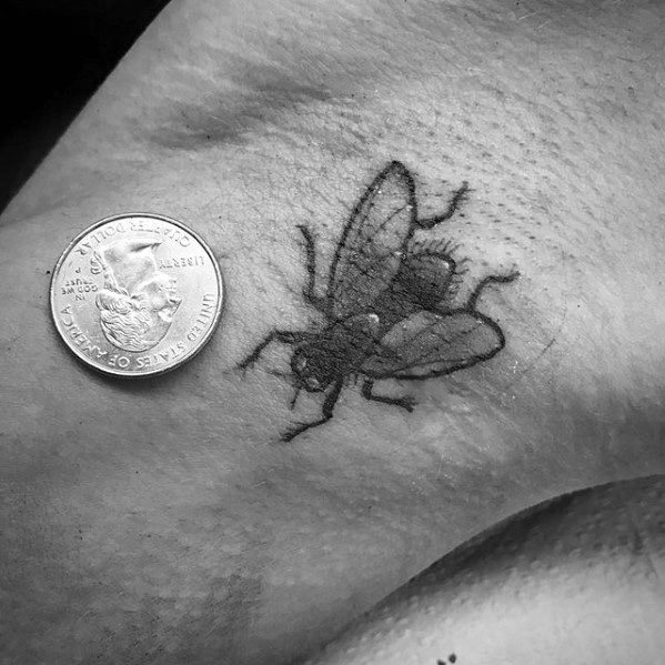 Tiny black fly tattoo with soft shading and clear wing detail, placed near the ankle for a realistic look, shown next to a coin.