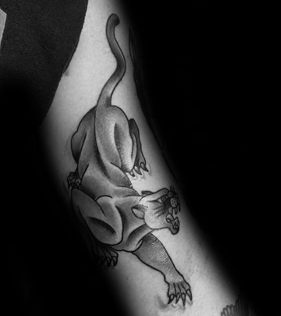 Guys Mountain Lion Tattoo Deisgns Traditional Arm