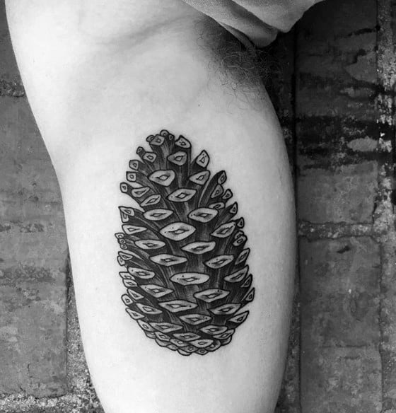 Guys Pine Cone Shaded Bicep Tattoos