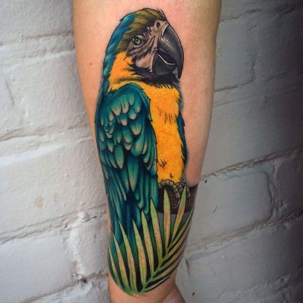 Guys Realistic 3d Parrot Forearm Tattoos