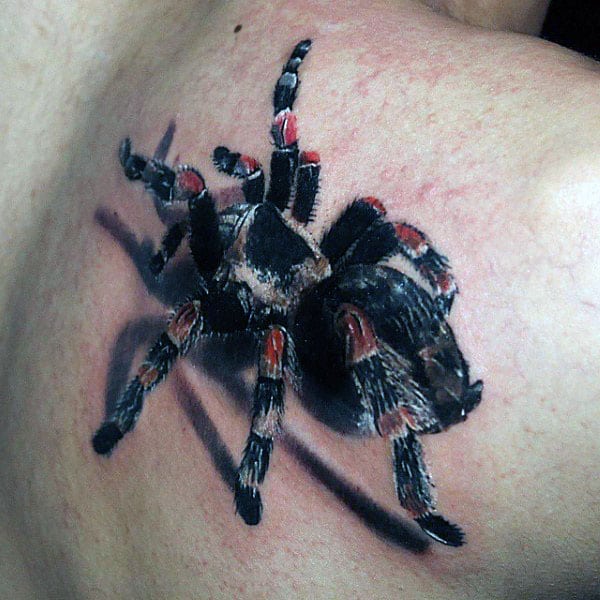 Guys Red And Black Tarantula Tattoo Designs