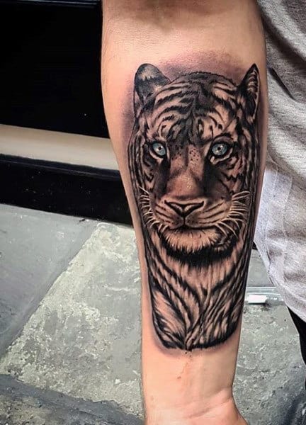 Guy's Roaring Tiger Tattoo On Forearm