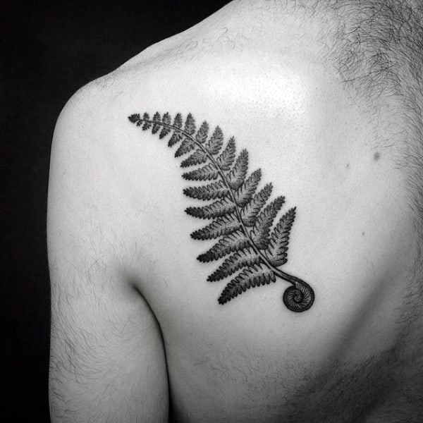 Guys Shoulder Blade Fern Tattoo Ideas