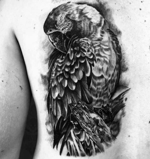Guys Tattoos With Parrot Design On Back