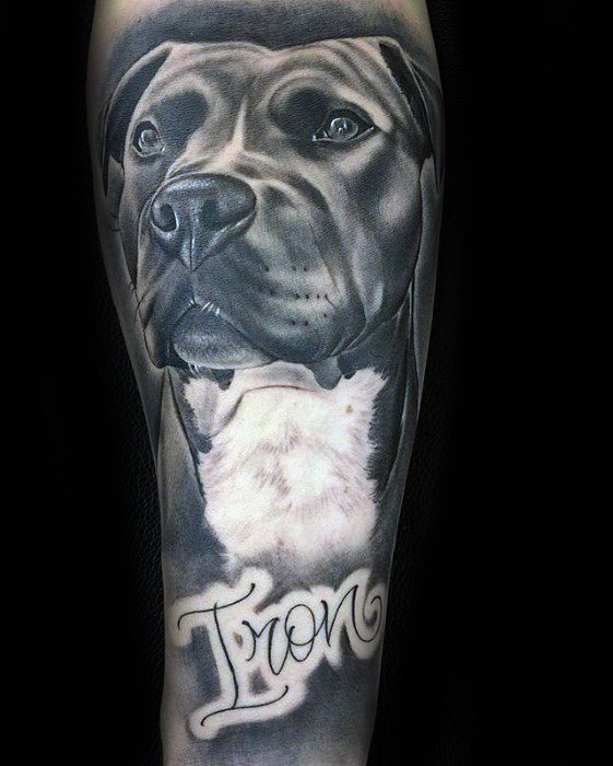 Guys Tattoos With Pitbull Design
