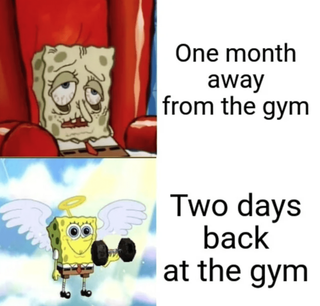 gym-memes-13