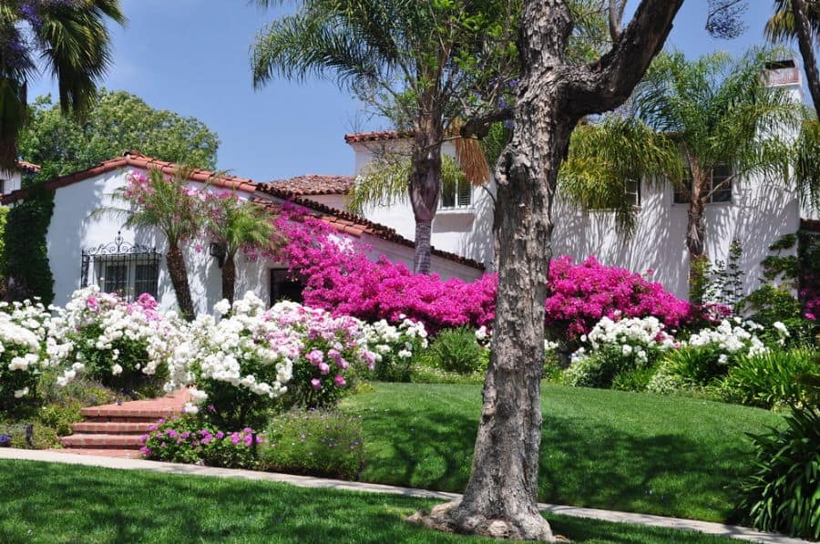colorful flower garden spanish-style home