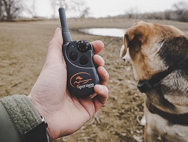 Handheld Transmitter Sportdog Brand Fieldtrainer 425x Ecollars For Dogs Review