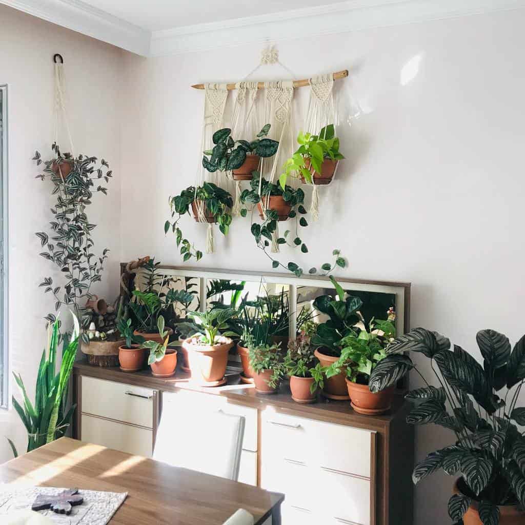 hanging rope planters terracotta pot plants