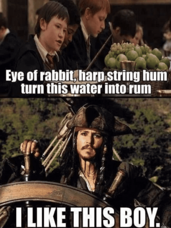 harry-potter-memes-11