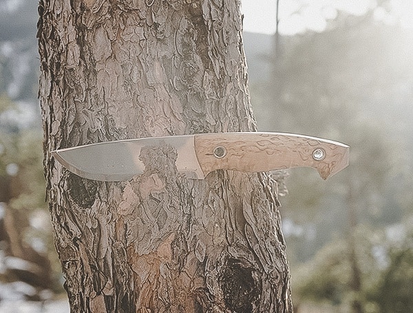 Helle Norway Knives Review Utvaer Slicing Through Tree Bark Outdoors