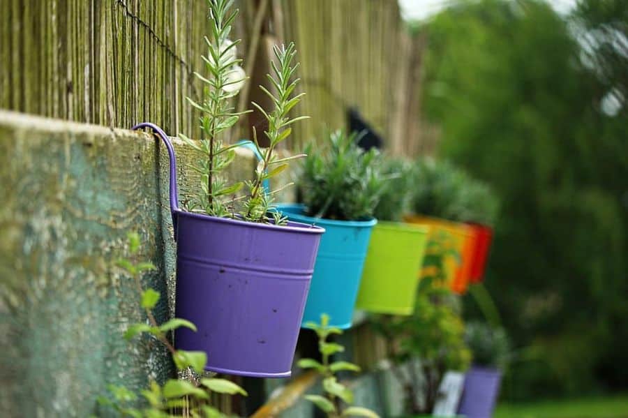 Colorful pots with plants hang on a wooden fence, including a purple pot with greenery, set against a blurred outdoor background