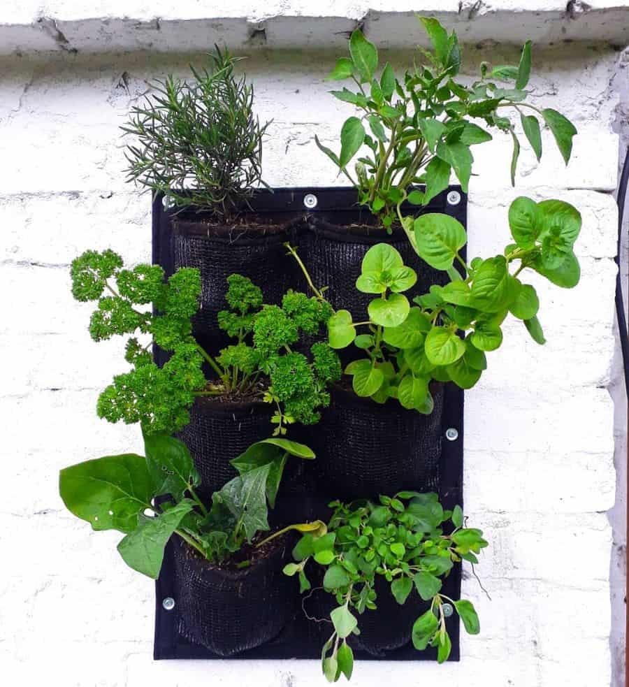 herb garden vertical