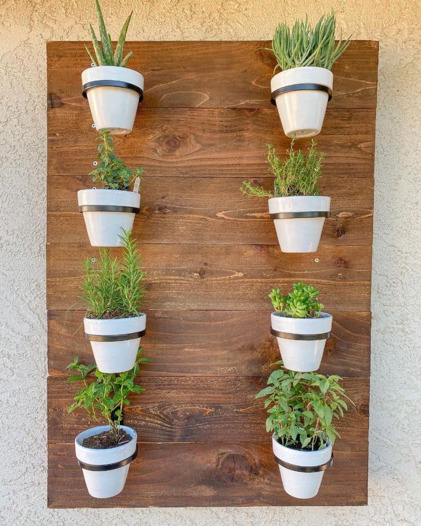 white pot plant wood herb garden vertical