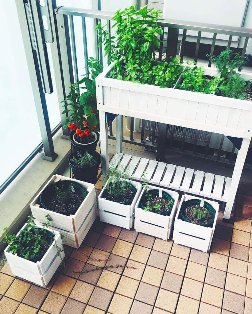 mall balcony garden with potted herbs in white wooden crates and a raised planter.