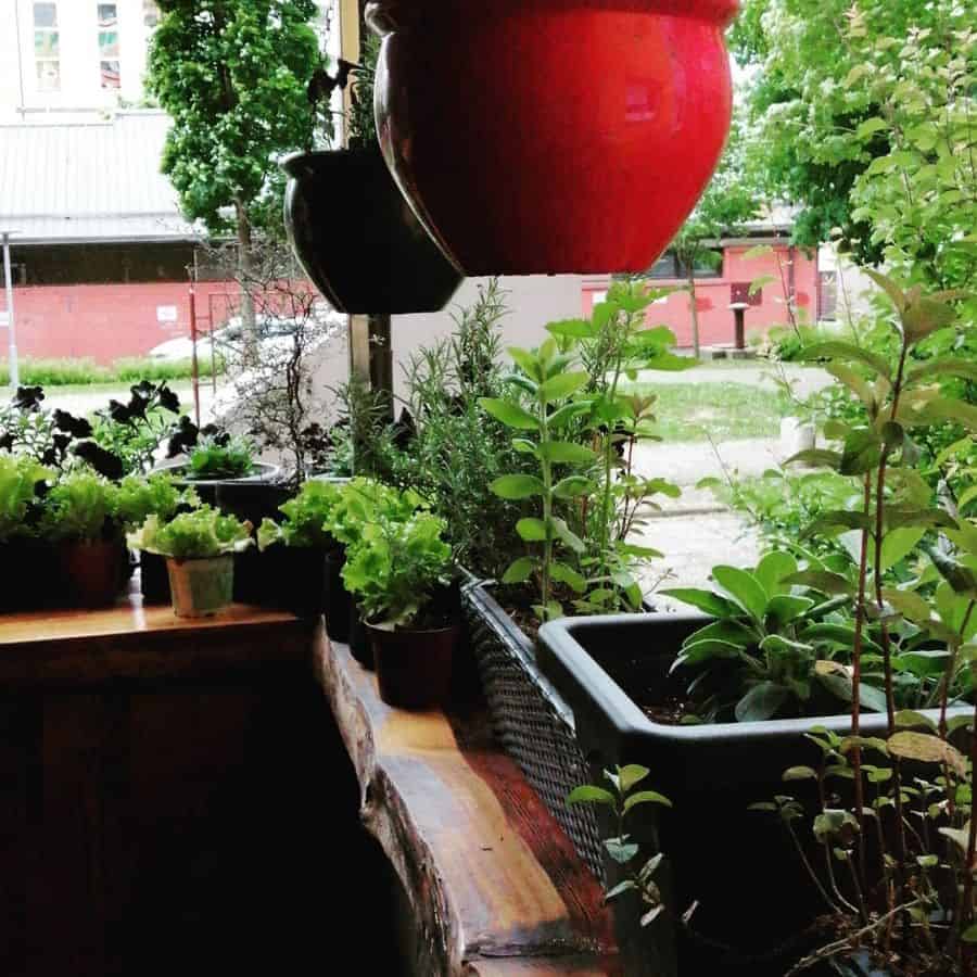 Balcony garden with potted herbs and leafy greens, including a hanging red planter.
