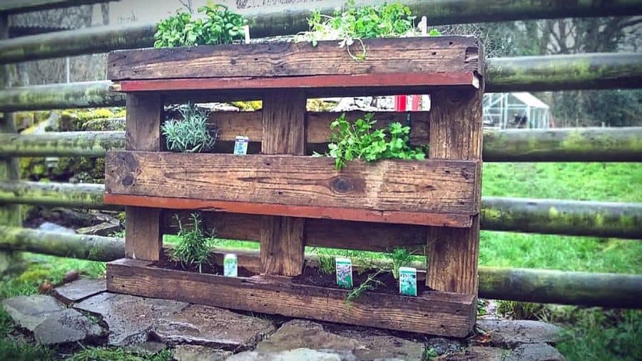 dark wood pallet herb garden