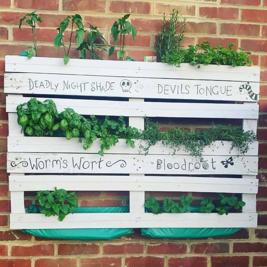 white pallet herb garden on brick wall