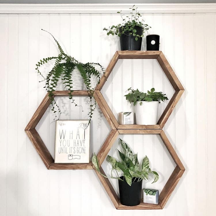 Hexagon-shaped wooden floating shelves with potted plants and decorative sign.
