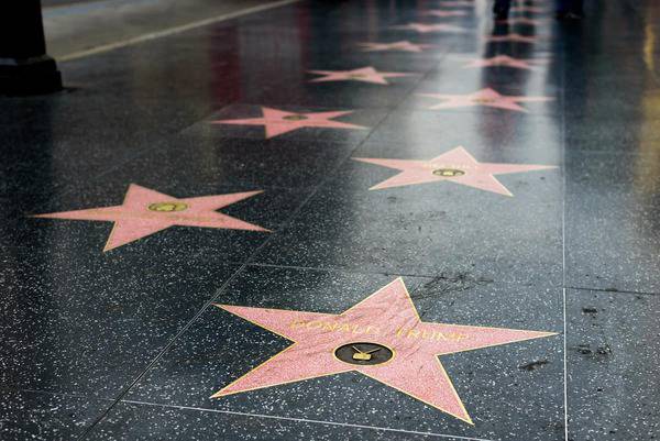 hollywood walk of fame star