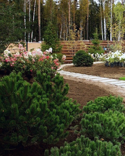 Home Backyard Stepping Stones