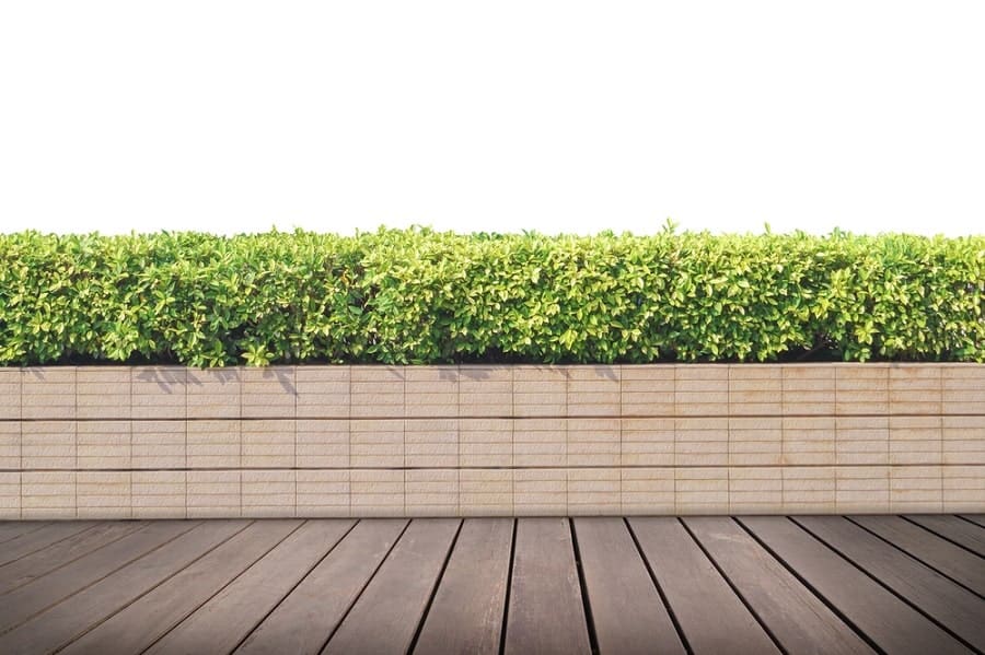 Walkway leads to a wooden deck, brick planter box, and lush green shrubs on white